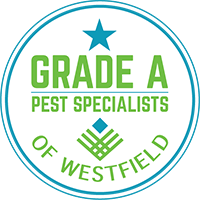 Pest Control Westfield