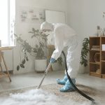 westfield pest expert